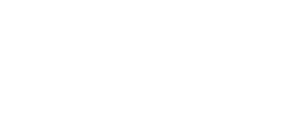 Magic Motorsport Logo