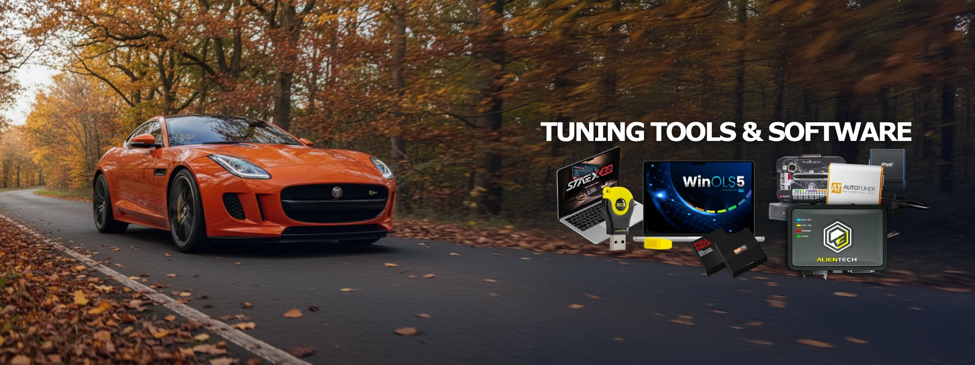 image showing an orange Jaguar F Type on road with autumnal trees either side with images of VIEZU tuning tools & software over the trees